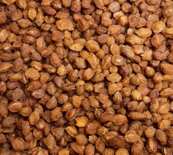 Torkat plommon