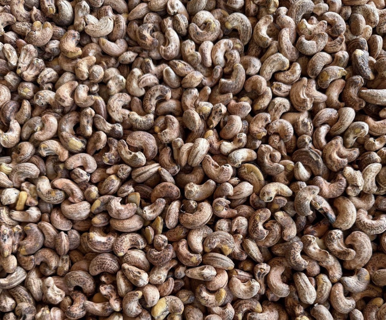 Rostade & saltade cashewnötter